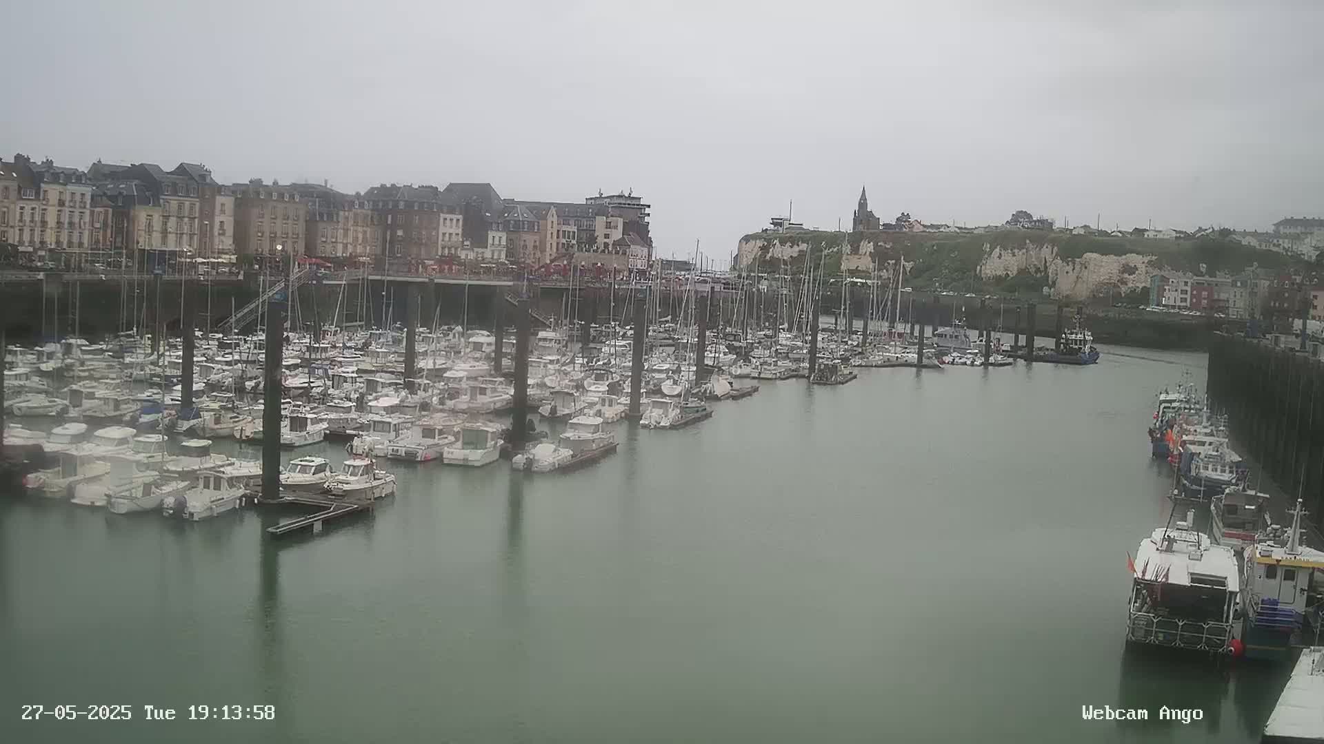 A harbor filled with numerous boats is situated in front of a town built along a cliffside under an overcast sky.