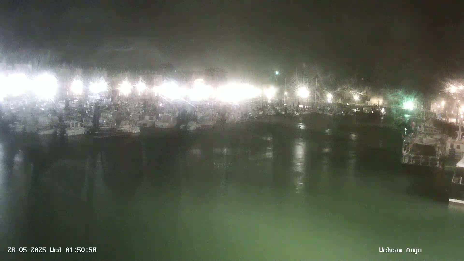A nighttime view of a harbor filled with numerous boats under a snowy sky.