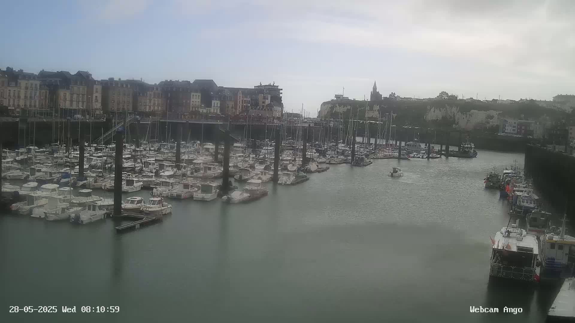 A harbor filled with numerous boats is situated in front of a town with multi-story buildings under an overcast sky.
