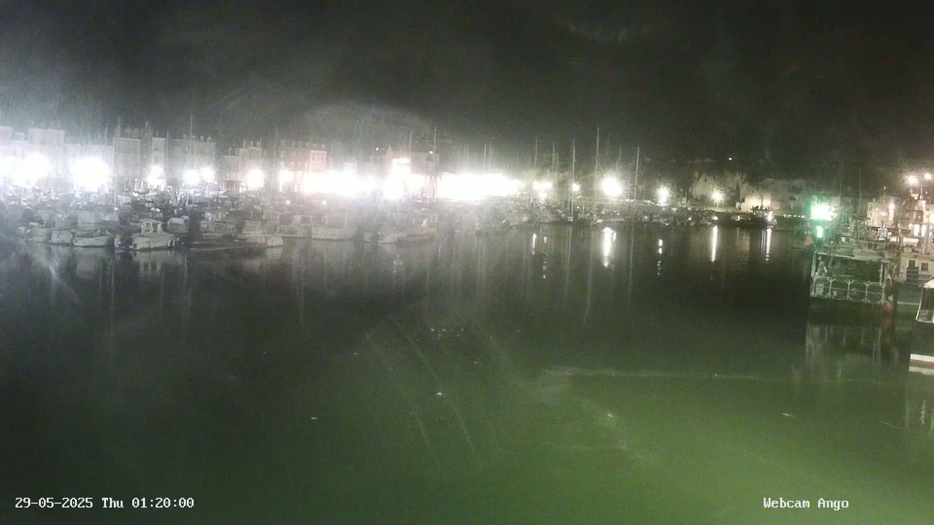 Many boats are moored in a harbor at night under a dark, hazy sky.