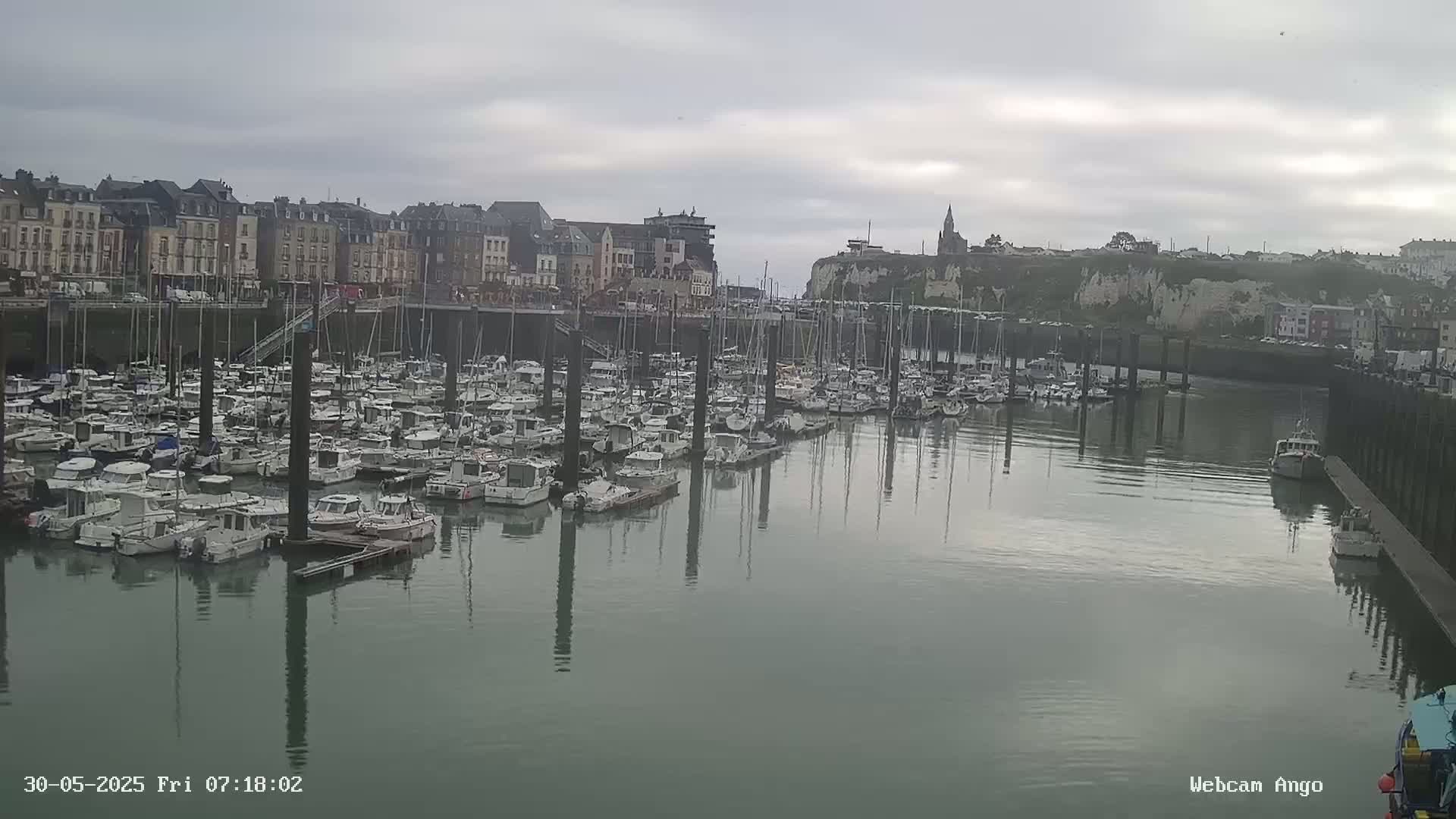 A harbor filled with numerous boats is situated before a town of multi-storied buildings under an overcast sky.