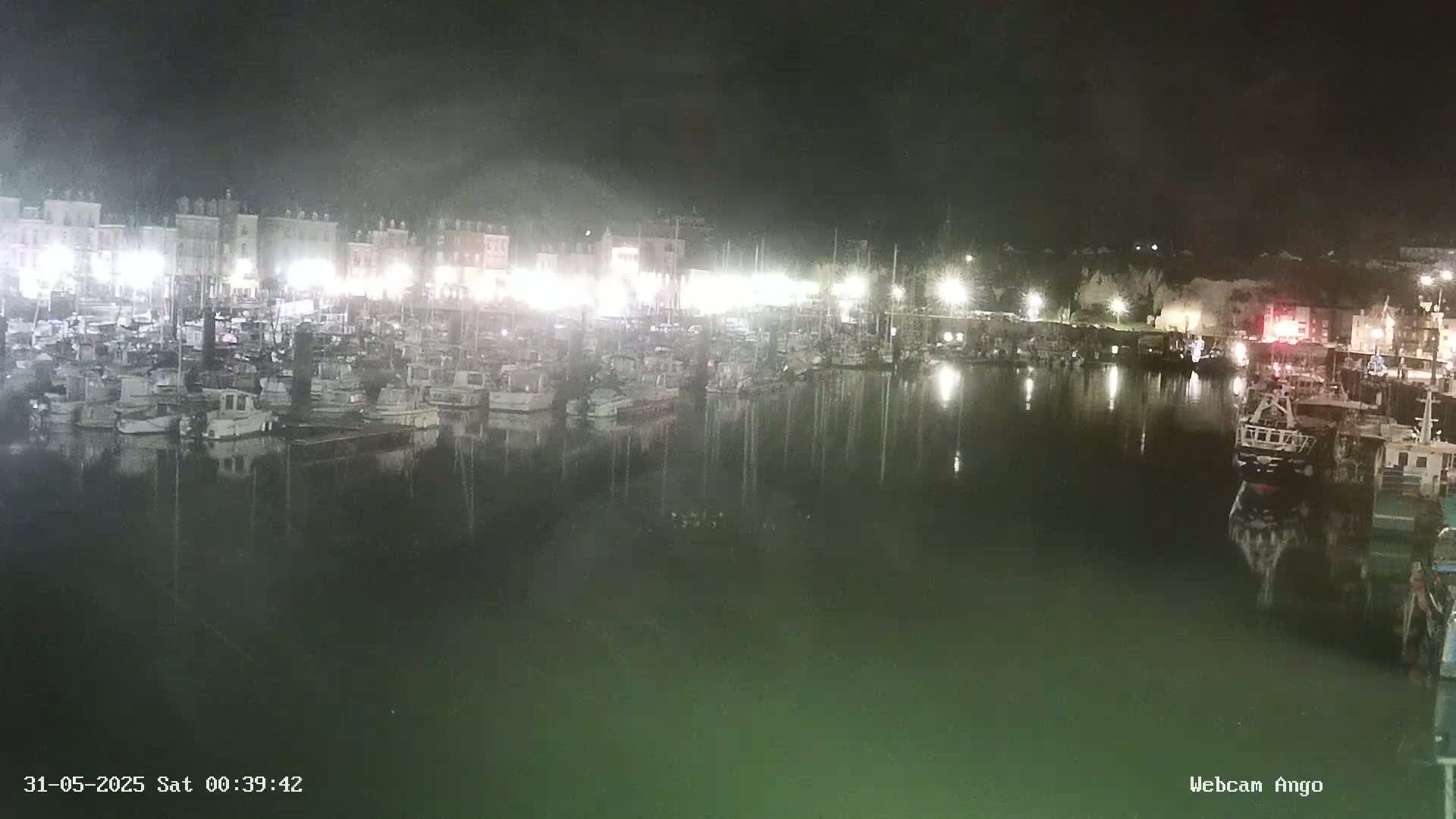 Many boats are docked in a harbor at night under hazy, dark conditions.
