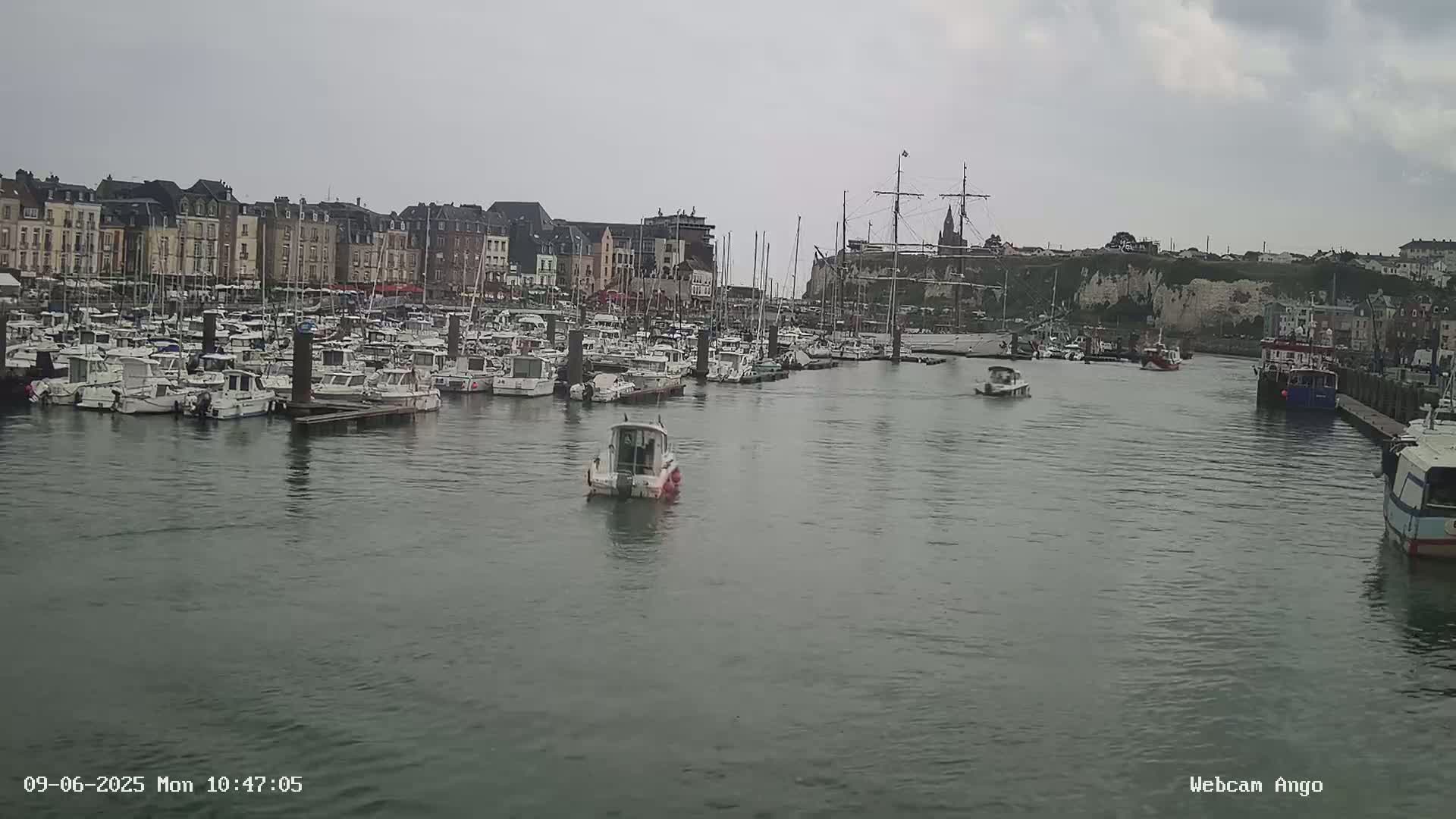 A harbor filled with numerous boats is situated in front of a town with multi-story buildings under an overcast sky.