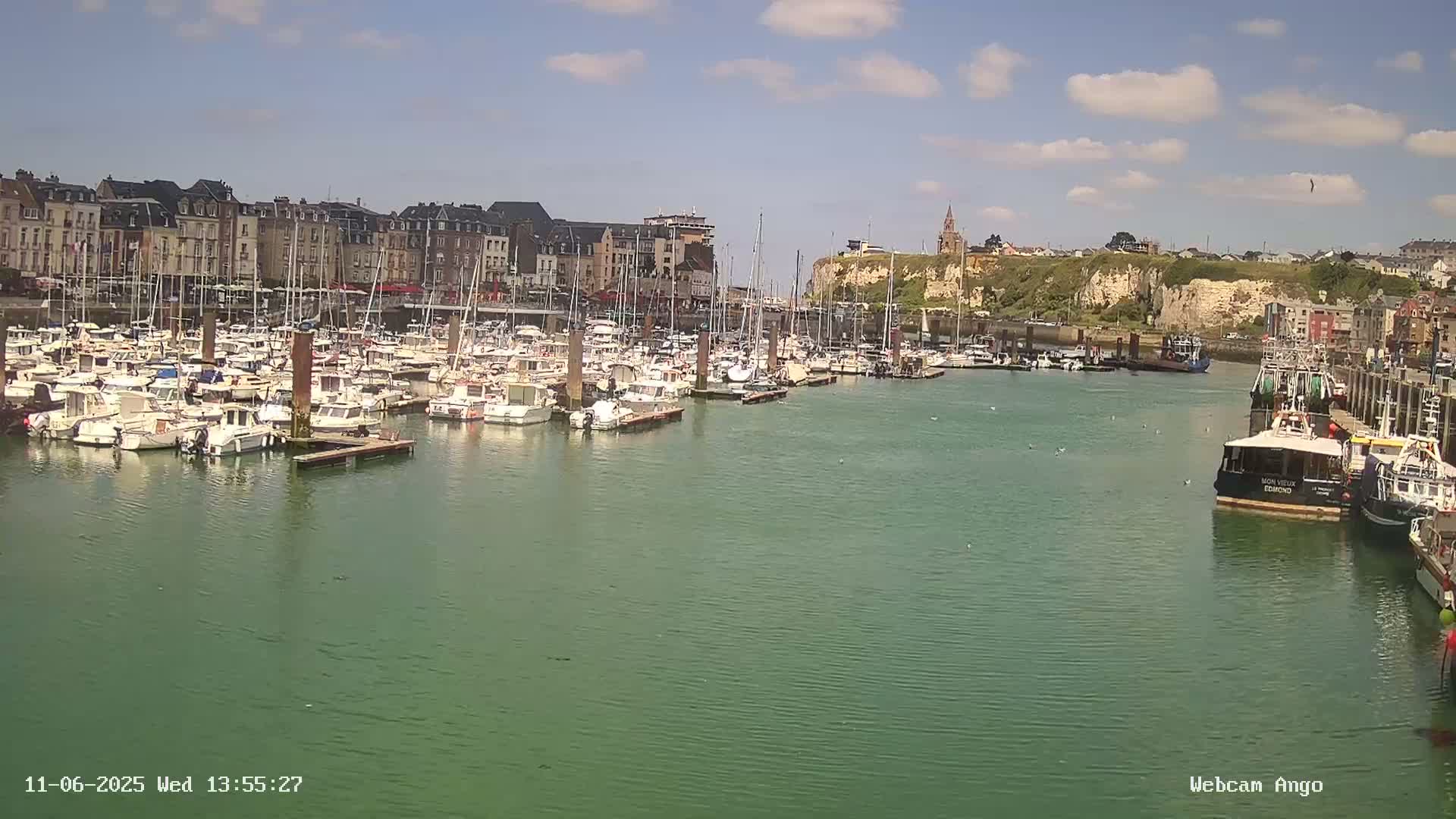 A harbor filled with many boats is situated in front of a town with buildings lining the waterfront under a partly sunny sky.