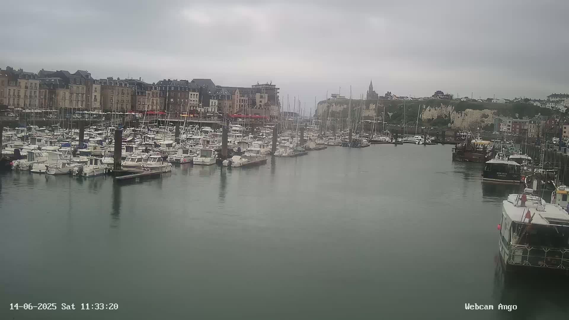 A harbor filled with numerous boats is situated in front of a town under an overcast sky.