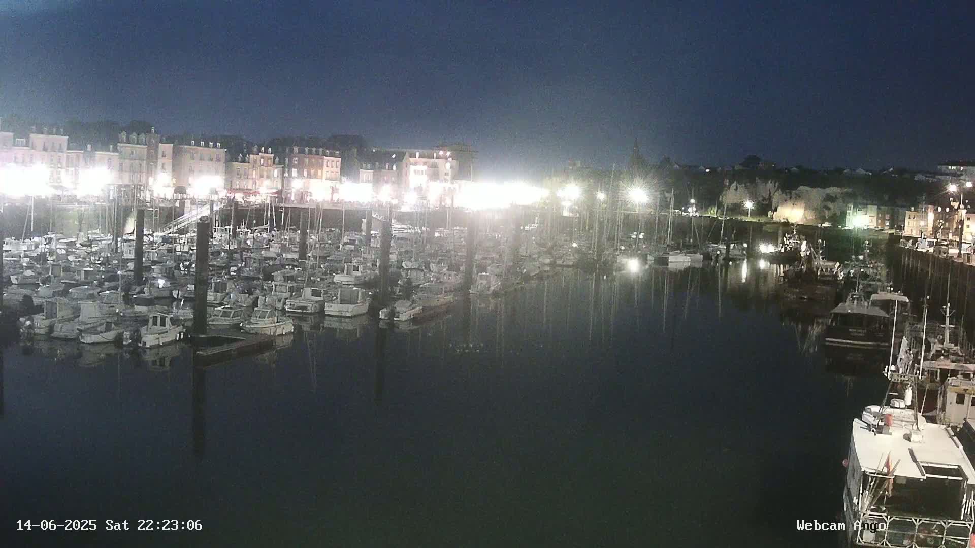 A harbor filled with many boats is situated in front of a town with buildings lining the waterfront under an overcast sky.