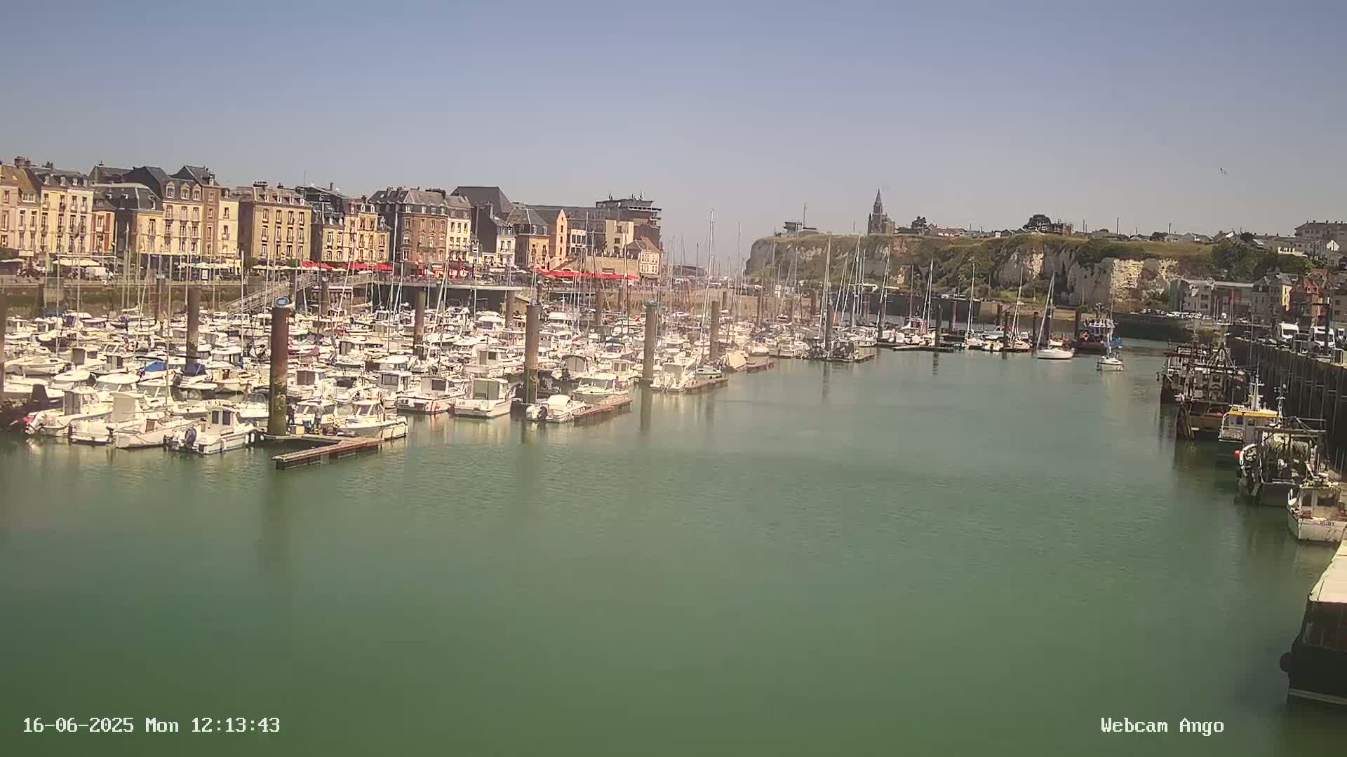 A marina filled with numerous boats is situated in front of a town with multi-story buildings under a clear, sunny sky.
