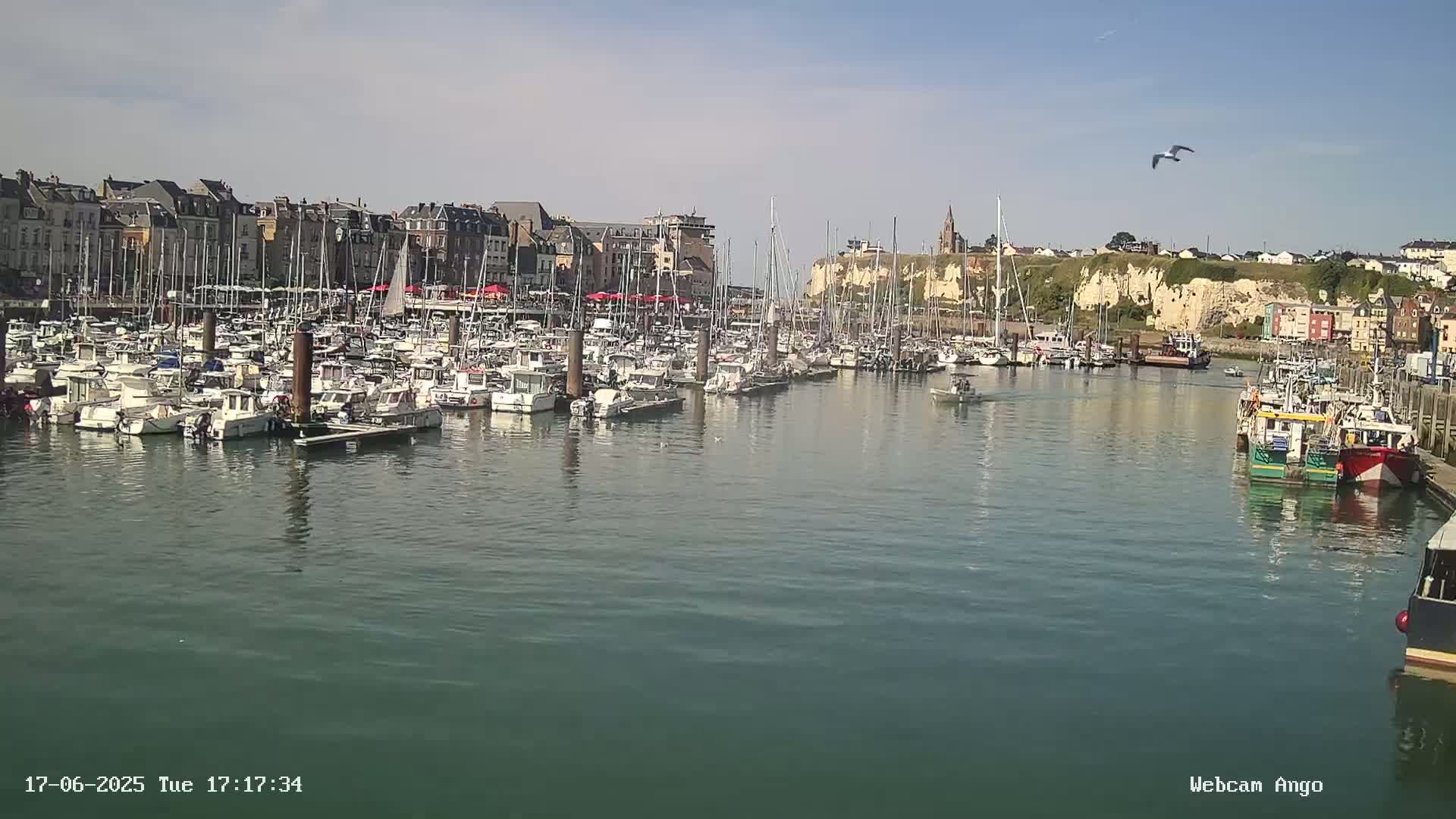 A calm harbor filled with numerous boats is situated in front of a town built against a cliff face under a clear, sunny sky.