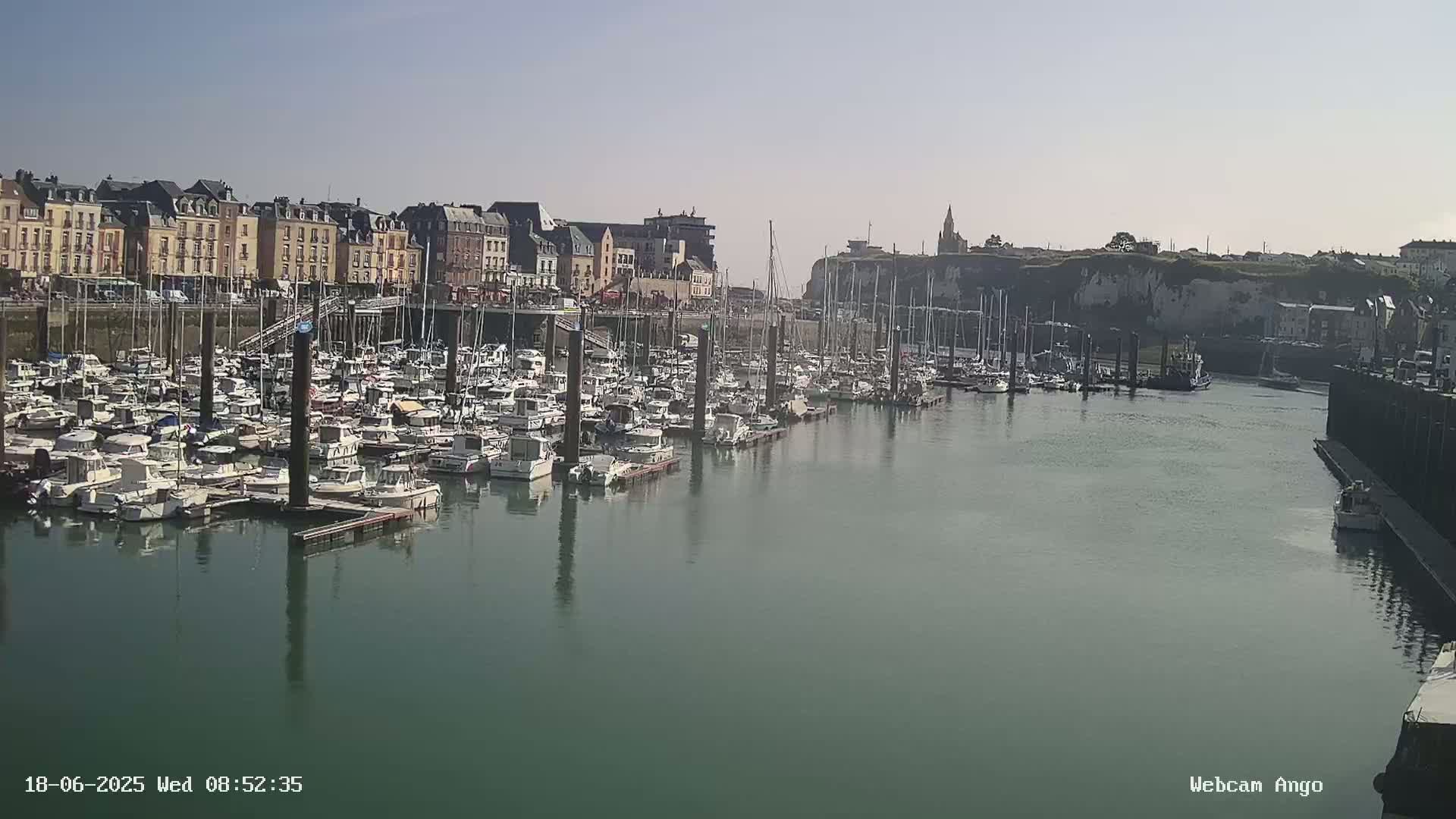 A calm harbor filled with numerous boats is situated in front of a town with buildings lining the waterfront under a clear sky.