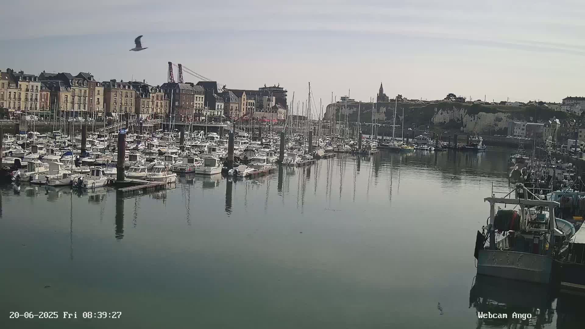 A harbor filled with numerous boats and yachts is situated in front of a town with multi-story buildings, under a mostly clear sky.
