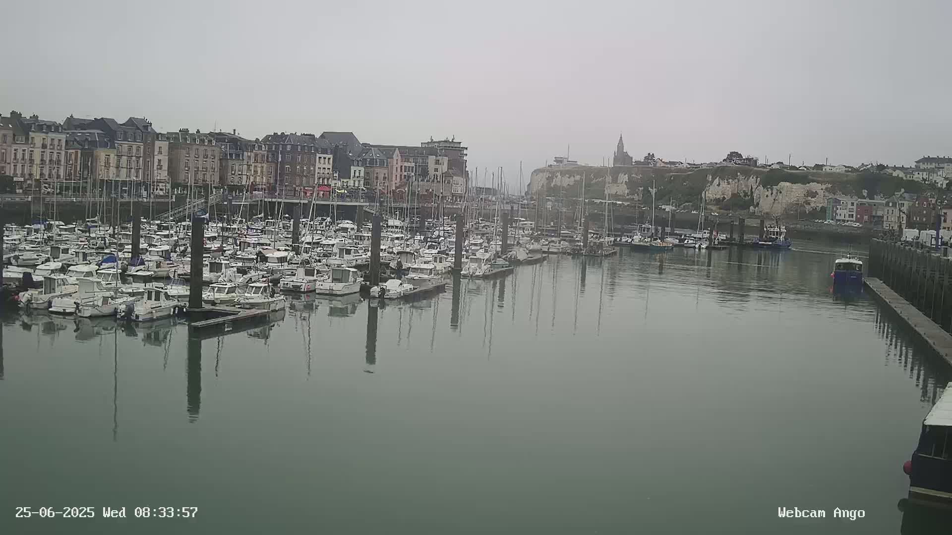 A harbor filled with numerous boats is situated in front of a town under an overcast sky.