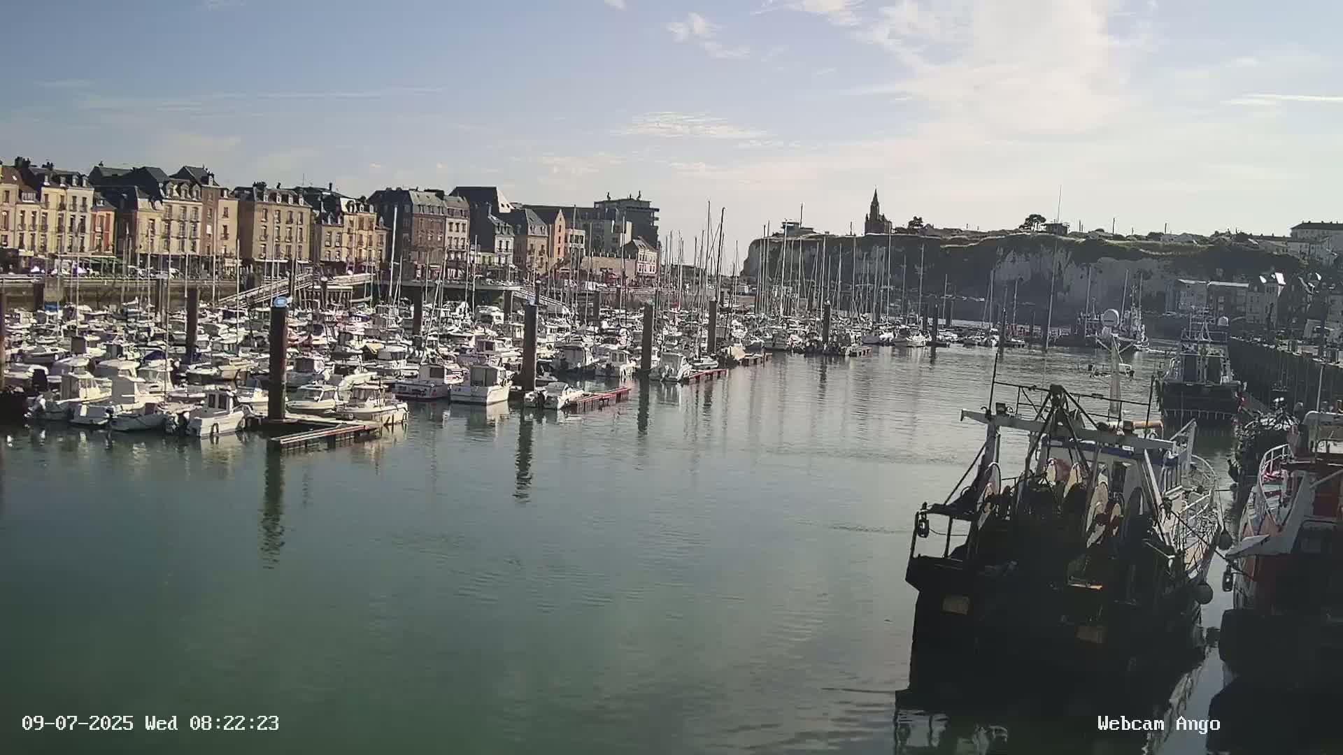 A harbor filled with numerous boats is situated in front of a town under a sunny sky.