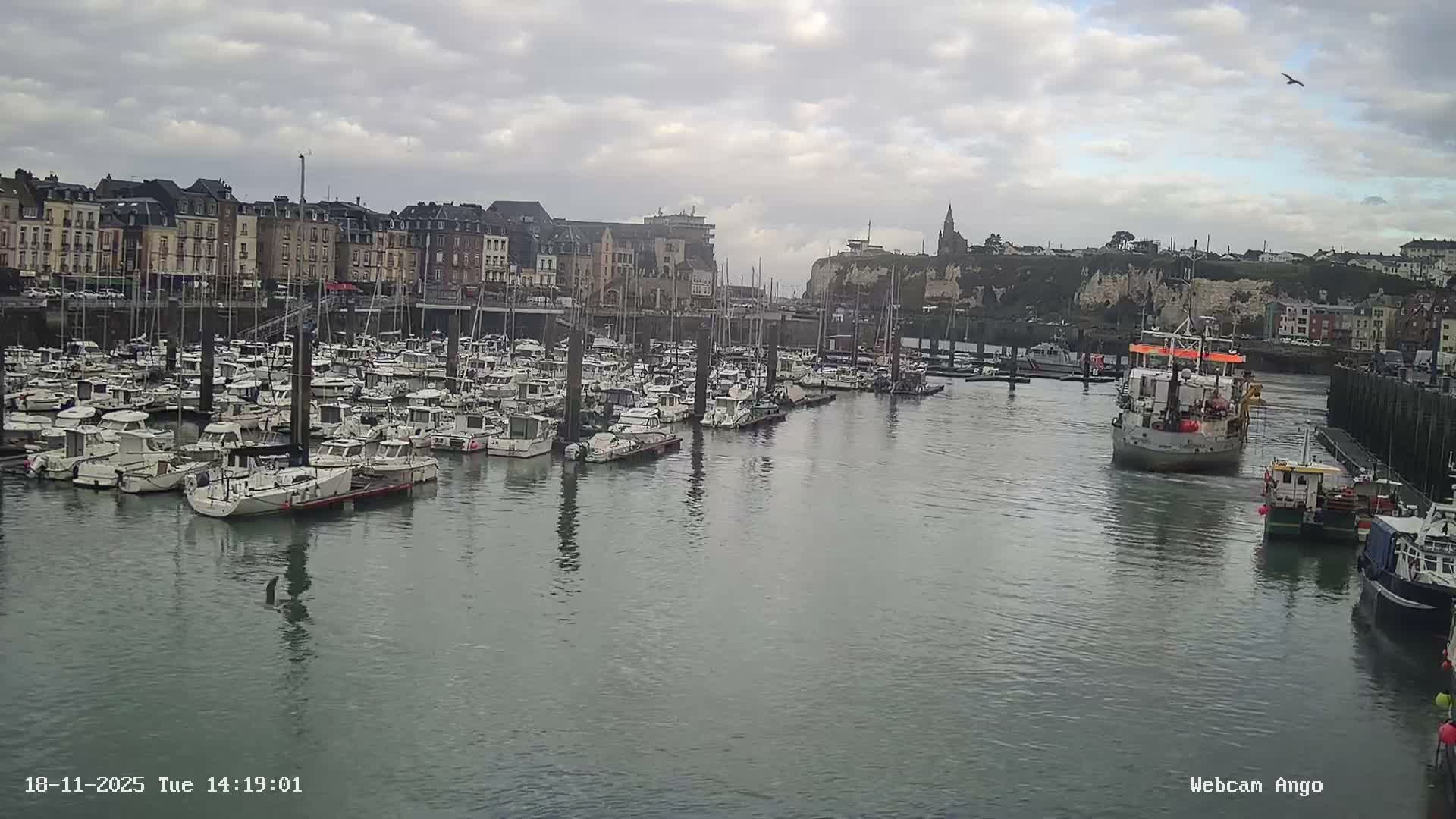 A nighttime harbor scene shows many boats moored in calm, dark-green water, reflecting the illuminated buildings and cliffs along the shoreline.