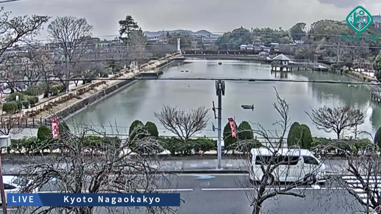 Kyoto, Nagaokakyo Hachijogaike Pond & Nagaoka Tenmangu Shrine Garden ( 京都、長岡京市の八条ヶ池と長岡天満宮庭園 ) Live Cam - 4 Chome, Tenjin, Nagaokakyo, Kyoto, Kyōto, Kansai, Japan