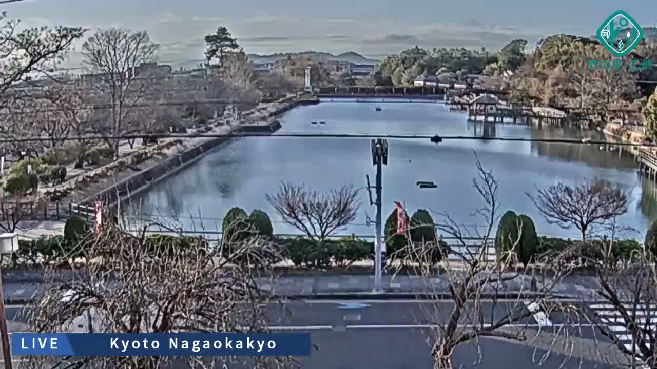Kyoto, Nagaokakyo Hachijogaike Pond & Nagaoka Tenmangu Shrine Garden ( 京都、長岡京市の八条ヶ池と長岡天満宮庭園 ) Live Cam - 4 Chome, Tenjin, Nagaokakyo, Kyoto, Kyōto, Kansai, Japan