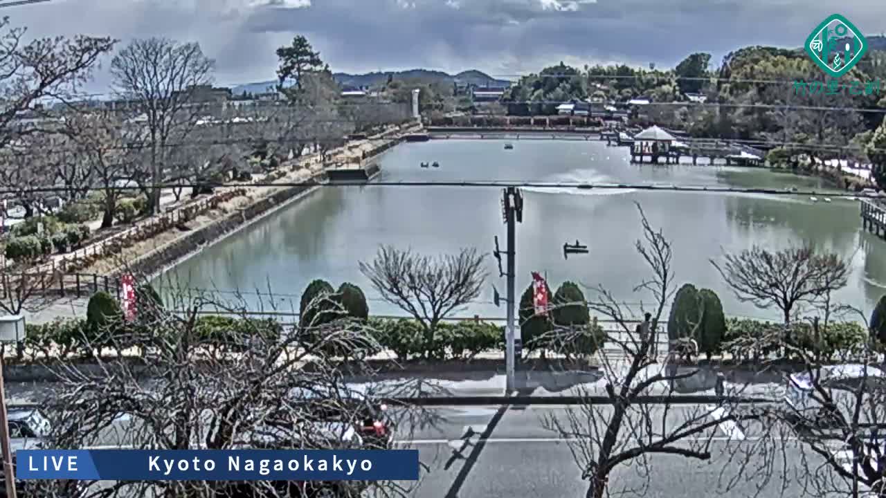 Kyoto, Nagaokakyo Hachijogaike Pond & Nagaoka Tenmangu Shrine Garden ( 京都、長岡京市の八条ヶ池と長岡天満宮庭園 ) Live Cam - 4 Chome, Tenjin, Nagaokakyo, Kyoto, Kyōto, Kansai, Japan