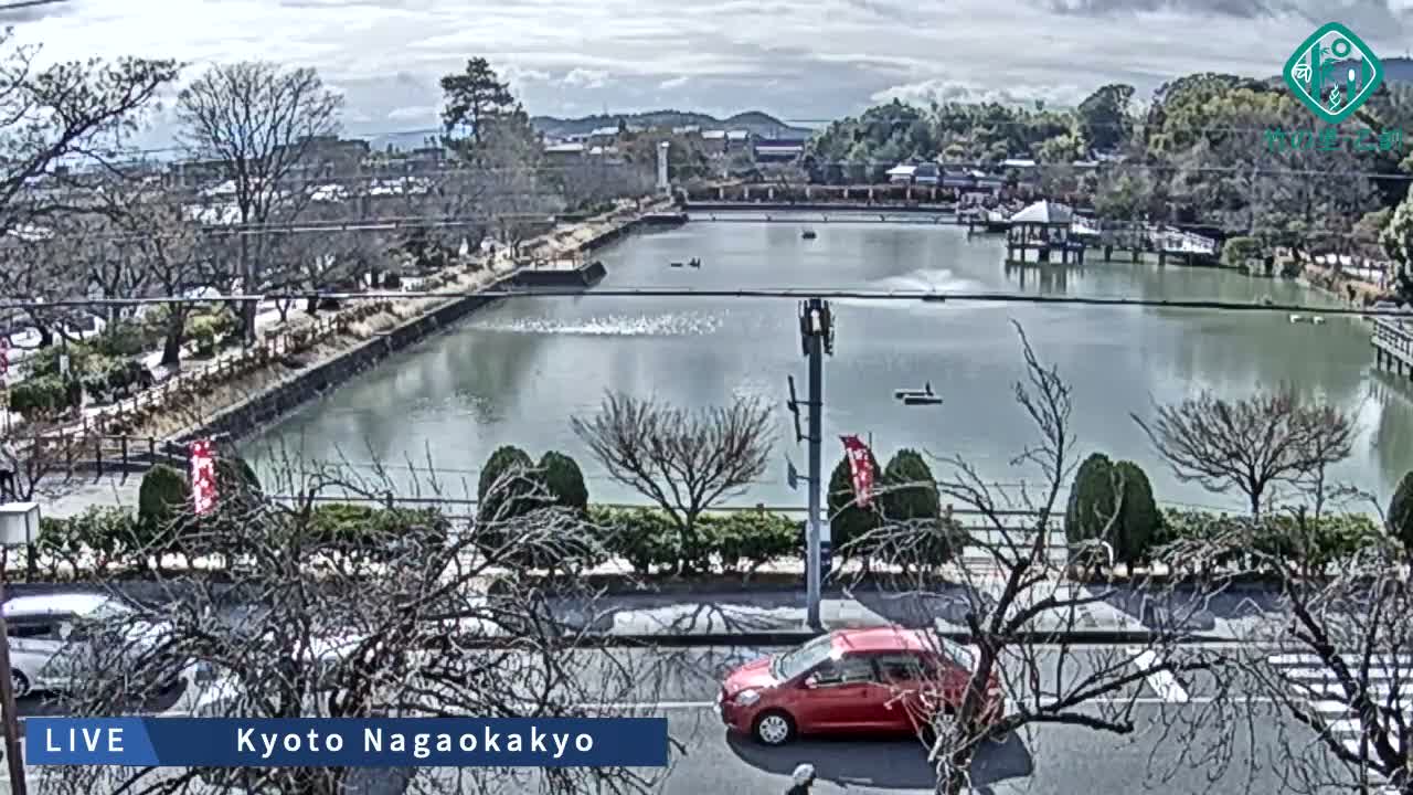 Kyoto, Nagaokakyo Hachijogaike Pond & Nagaoka Tenmangu Shrine Garden ( 京都、長岡京市の八条ヶ池と長岡天満宮庭園 ) Live Cam - 4 Chome, Tenjin, Nagaokakyo, Kyoto, Kyōto, Kansai, Japan