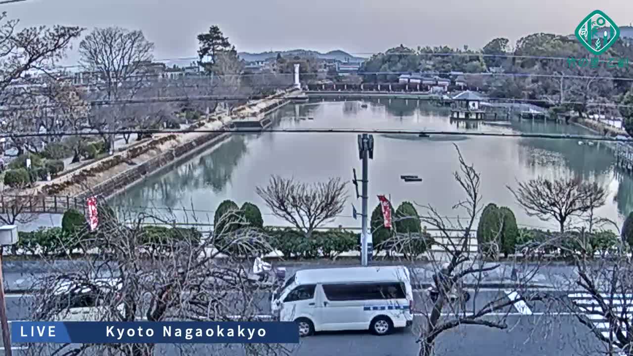 Kyoto, Nagaokakyo Hachijogaike Pond & Nagaoka Tenmangu Shrine Garden ( 京都、長岡京市の八条ヶ池と長岡天満宮庭園 ) Live Cam - 4 Chome, Tenjin, Nagaokakyo, Kyoto, Kyōto, Kansai, Japan