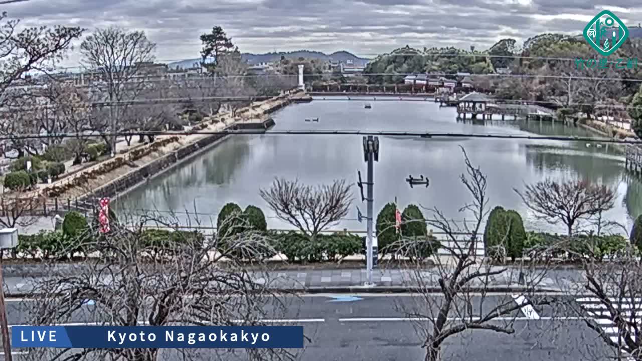 Kyoto, Nagaokakyo Hachijogaike Pond & Nagaoka Tenmangu Shrine Garden ( 京都、長岡京市の八条ヶ池と長岡天満宮庭園 ) Live Cam - 4 Chome, Tenjin, Nagaokakyo, Kyoto, Kyōto, Kansai, Japan