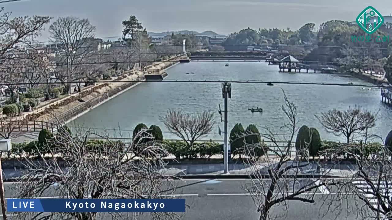 Kyoto, Nagaokakyo Hachijogaike Pond & Nagaoka Tenmangu Shrine Garden ( 京都、長岡京市の八条ヶ池と長岡天満宮庭園 ) Live Cam - 4 Chome, Tenjin, Nagaokakyo, Kyoto, Kyōto, Kansai, Japan