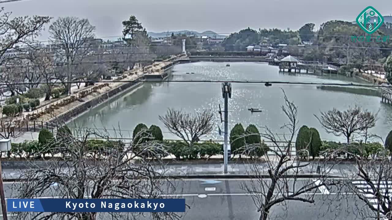 Kyoto, Nagaokakyo Hachijogaike Pond & Nagaoka Tenmangu Shrine Garden ( 京都、長岡京市の八条ヶ池と長岡天満宮庭園 ) Live Cam - 4 Chome, Tenjin, Nagaokakyo, Kyoto, Kyōto, Kansai, Japan