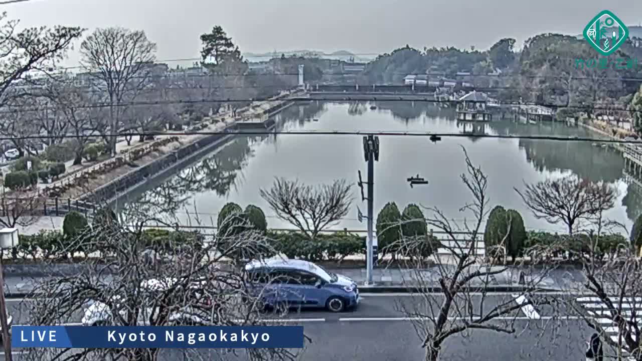 Kyoto, Nagaokakyo Hachijogaike Pond & Nagaoka Tenmangu Shrine Garden ( 京都、長岡京市の八条ヶ池と長岡天満宮庭園 ) Live Cam - 4 Chome, Tenjin, Nagaokakyo, Kyoto, Kyōto, Kansai, Japan