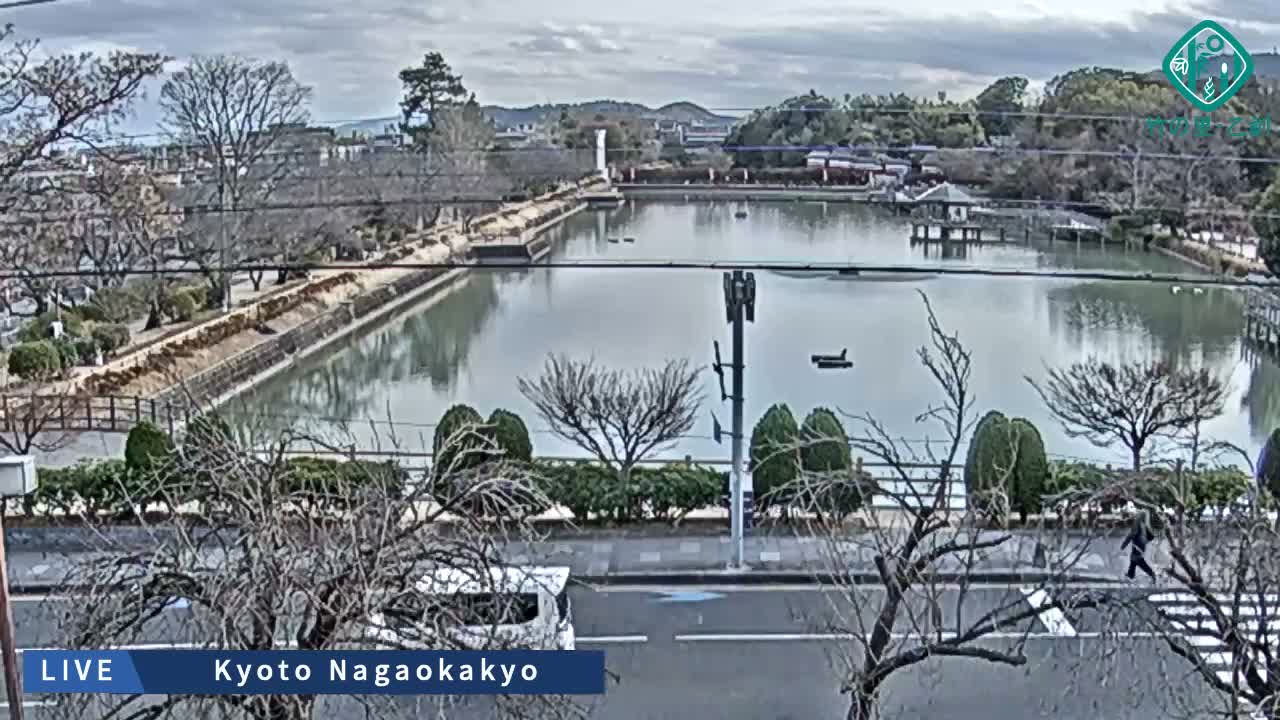 Kyoto, Nagaokakyo Hachijogaike Pond & Nagaoka Tenmangu Shrine Garden ( 京都、長岡京市の八条ヶ池と長岡天満宮庭園 ) Live Cam - 4 Chome, Tenjin, Nagaokakyo, Kyoto, Kyōto, Kansai, Japan