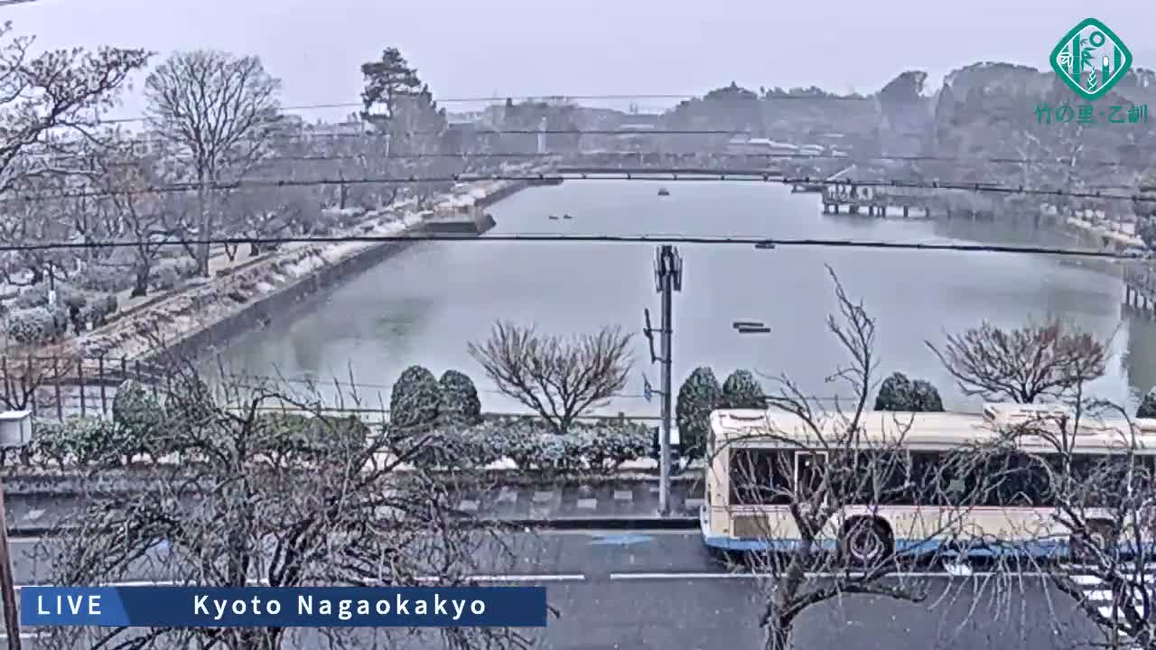 Kyoto, Nagaokakyo Hachijogaike Pond & Nagaoka Tenmangu Shrine Garden ( 京都、長岡京市の八条ヶ池と長岡天満宮庭園 ) Live Cam - 4 Chome, Tenjin, Nagaokakyo, Kyoto, Kyōto, Kansai, Japan