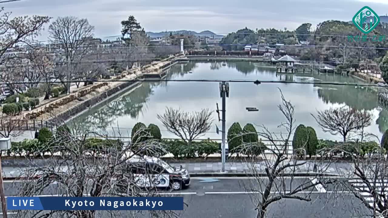 Kyoto, Nagaokakyo Hachijogaike Pond & Nagaoka Tenmangu Shrine Garden ( 京都、長岡京市の八条ヶ池と長岡天満宮庭園 ) Live Cam - 4 Chome, Tenjin, Nagaokakyo, Kyoto, Kyōto, Kansai, Japan
