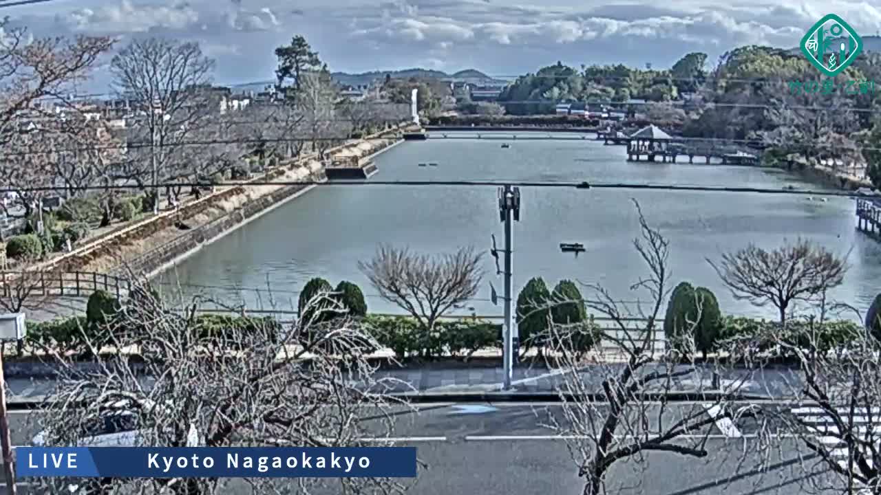 Kyoto, Nagaokakyo Hachijogaike Pond & Nagaoka Tenmangu Shrine Garden ( 京都、長岡京市の八条ヶ池と長岡天満宮庭園 ) Live Cam - 4 Chome, Tenjin, Nagaokakyo, Kyoto, Kyōto, Kansai, Japan