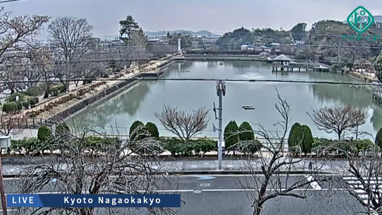 Kyoto, Nagaokakyo Hachijogaike Pond & Nagaoka Tenmangu Shrine Garden ( 京都、長岡京市の八条ヶ池と長岡天満宮庭園 ) Live Cam - 4 Chome, Tenjin, Nagaokakyo, Kyoto, Kyōto, Kansai, Japan