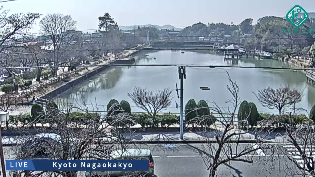 Kyoto, Nagaokakyo Hachijogaike Pond & Nagaoka Tenmangu Shrine Garden ( 京都、長岡京市の八条ヶ池と長岡天満宮庭園 ) Live Cam - 4 Chome, Tenjin, Nagaokakyo, Kyoto, Kyōto, Kansai, Japan