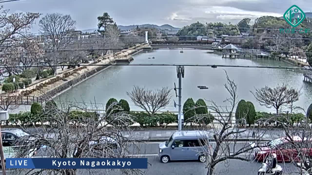 Kyoto, Nagaokakyo Hachijogaike Pond & Nagaoka Tenmangu Shrine Garden ( 京都、長岡京市の八条ヶ池と長岡天満宮庭園 ) Live Cam - 4 Chome, Tenjin, Nagaokakyo, Kyoto, Kyōto, Kansai, Japan