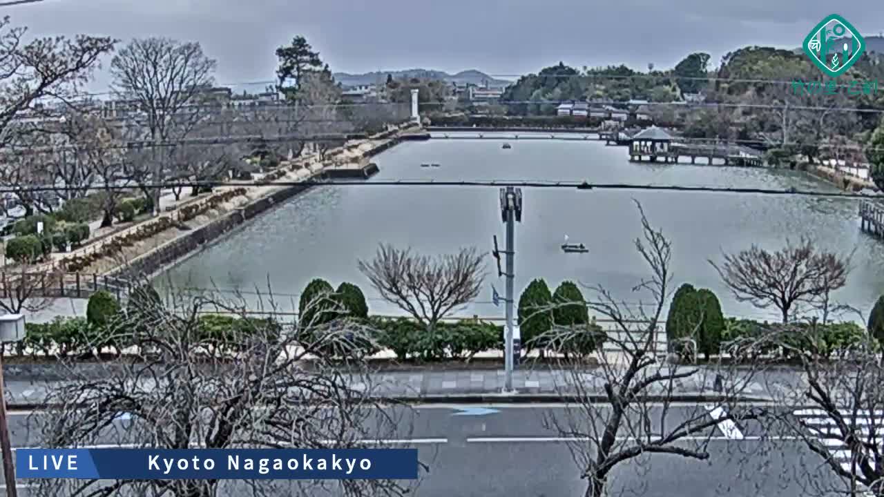 Kyoto, Nagaokakyo Hachijogaike Pond & Nagaoka Tenmangu Shrine Garden ( 京都、長岡京市の八条ヶ池と長岡天満宮庭園 ) Live Cam - 4 Chome, Tenjin, Nagaokakyo, Kyoto, Kyōto, Kansai, Japan