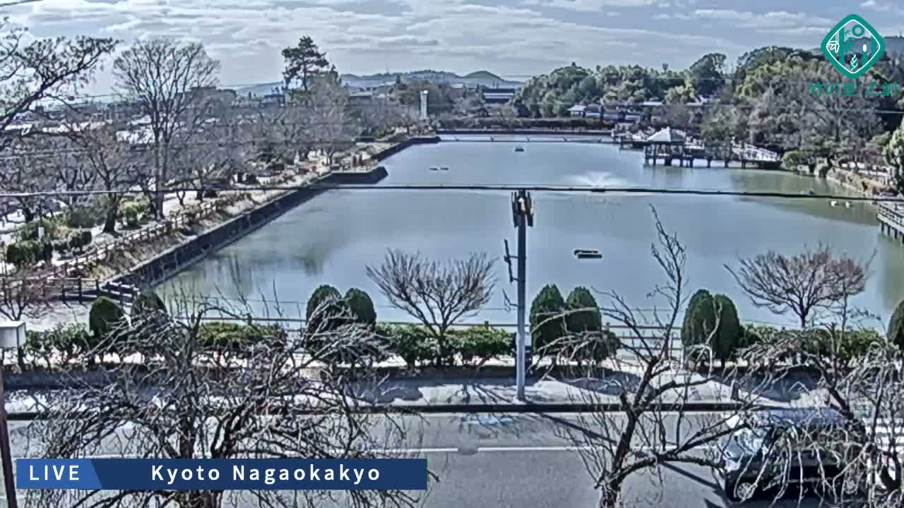 Kyoto, Nagaokakyo Hachijogaike Pond & Nagaoka Tenmangu Shrine Garden ( 京都、長岡京市の八条ヶ池と長岡天満宮庭園 ) Live Cam - 4 Chome, Tenjin, Nagaokakyo, Kyoto, Kyōto, Kansai, Japan