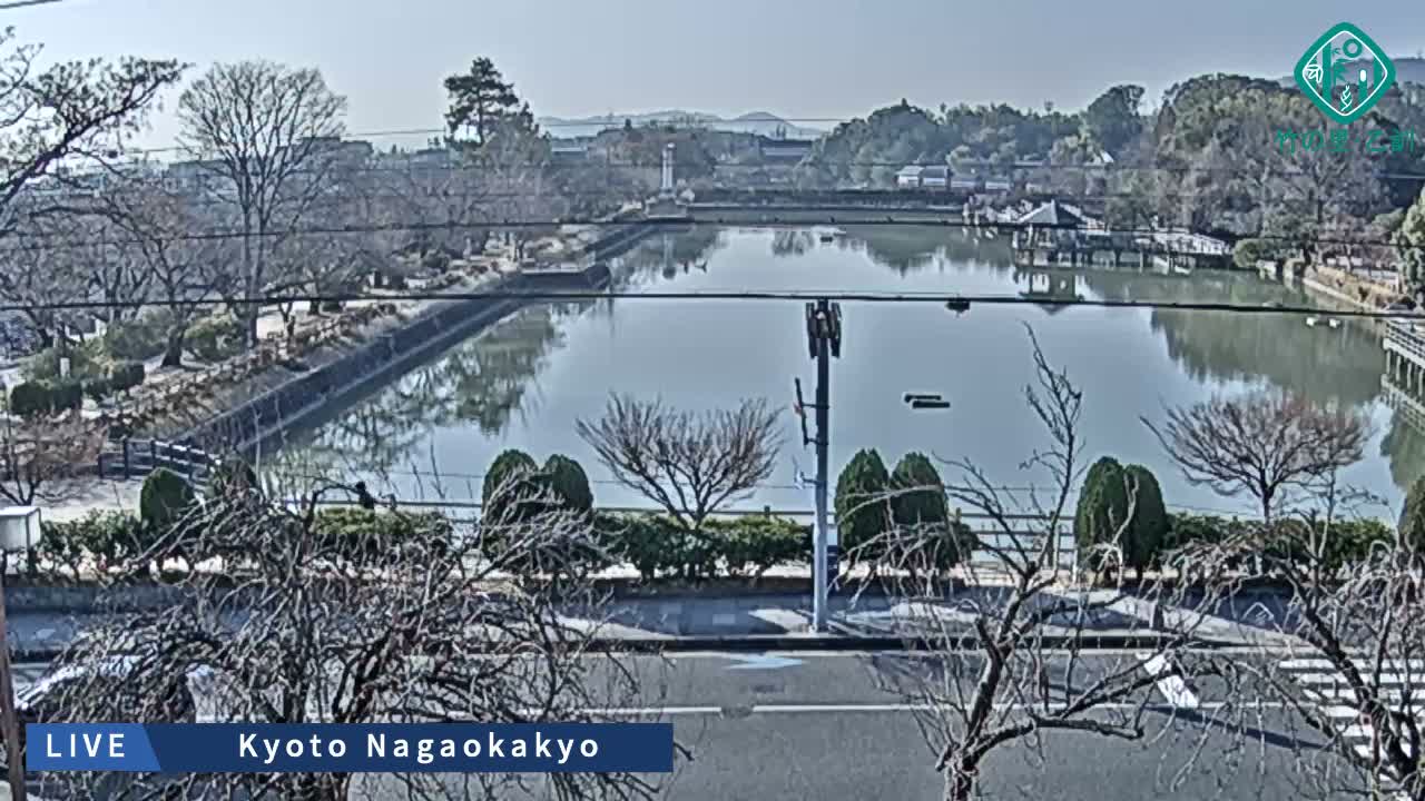 Kyoto, Nagaokakyo Hachijogaike Pond & Nagaoka Tenmangu Shrine Garden ( 京都、長岡京市の八条ヶ池と長岡天満宮庭園 ) Live Cam - 4 Chome, Tenjin, Nagaokakyo, Kyoto, Kyōto, Kansai, Japan