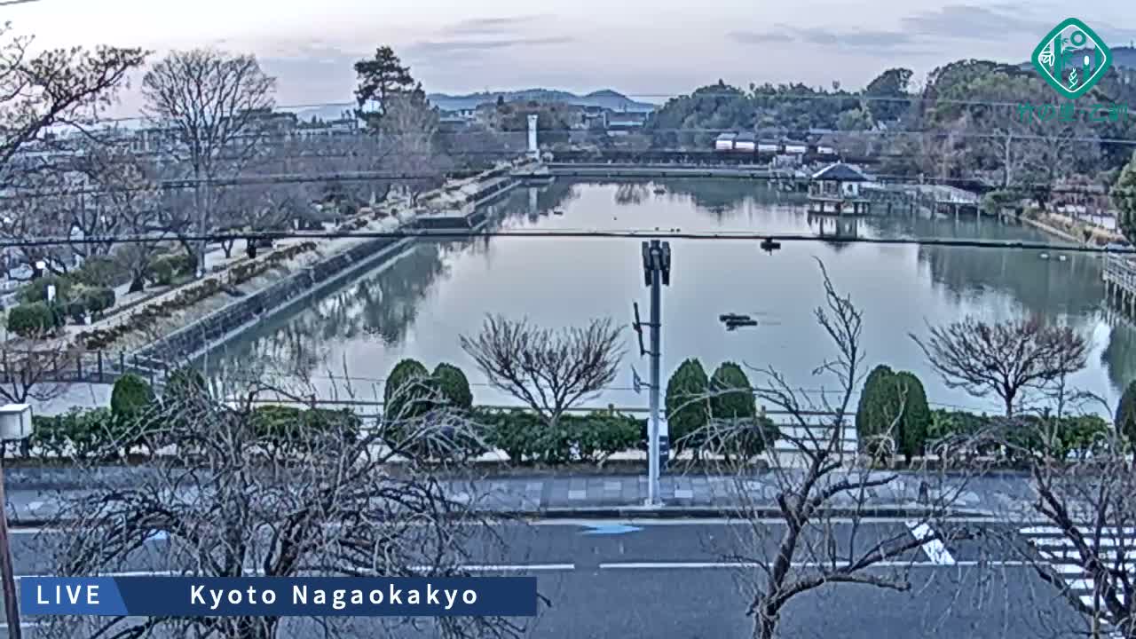 Kyoto, Nagaokakyo Hachijogaike Pond & Nagaoka Tenmangu Shrine Garden ( 京都、長岡京市の八条ヶ池と長岡天満宮庭園 ) Live Cam - 4 Chome, Tenjin, Nagaokakyo, Kyoto, Kyōto, Kansai, Japan
