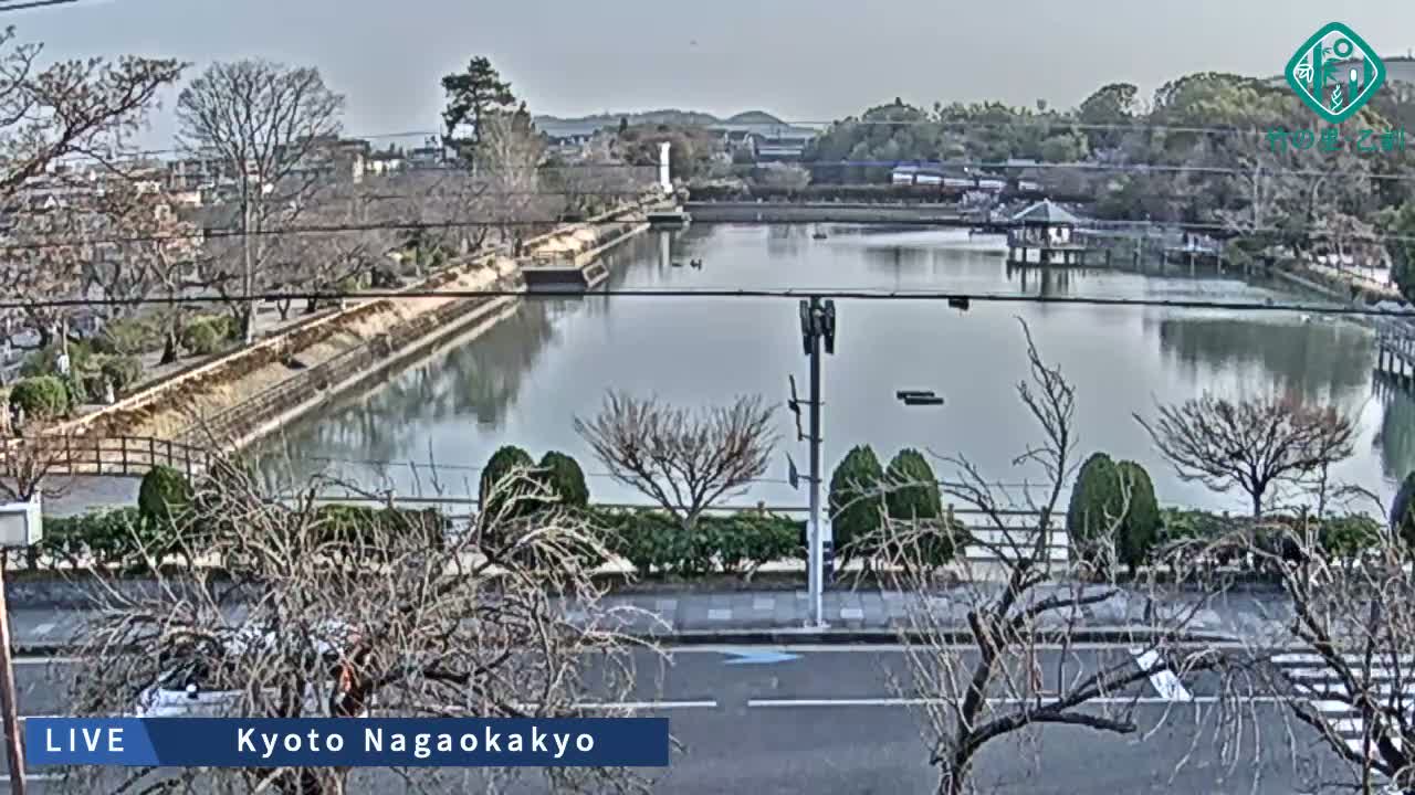 Kyoto, Nagaokakyo Hachijogaike Pond & Nagaoka Tenmangu Shrine Garden ( 京都、長岡京市の八条ヶ池と長岡天満宮庭園 ) Live Cam - 4 Chome, Tenjin, Nagaokakyo, Kyoto, Kyōto, Kansai, Japan