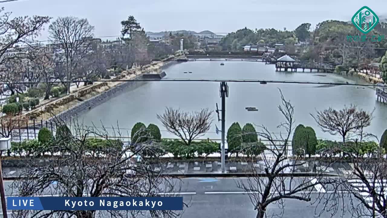 Kyoto, Nagaokakyo Hachijogaike Pond & Nagaoka Tenmangu Shrine Garden ( 京都、長岡京市の八条ヶ池と長岡天満宮庭園 ) Live Cam - 4 Chome, Tenjin, Nagaokakyo, Kyoto, Kyōto, Kansai, Japan
