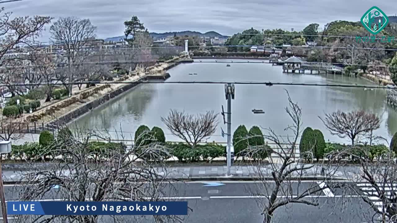 Kyoto, Nagaokakyo Hachijogaike Pond & Nagaoka Tenmangu Shrine Garden ( 京都、長岡京市の八条ヶ池と長岡天満宮庭園 ) Live Cam - 4 Chome, Tenjin, Nagaokakyo, Kyoto, Kyōto, Kansai, Japan
