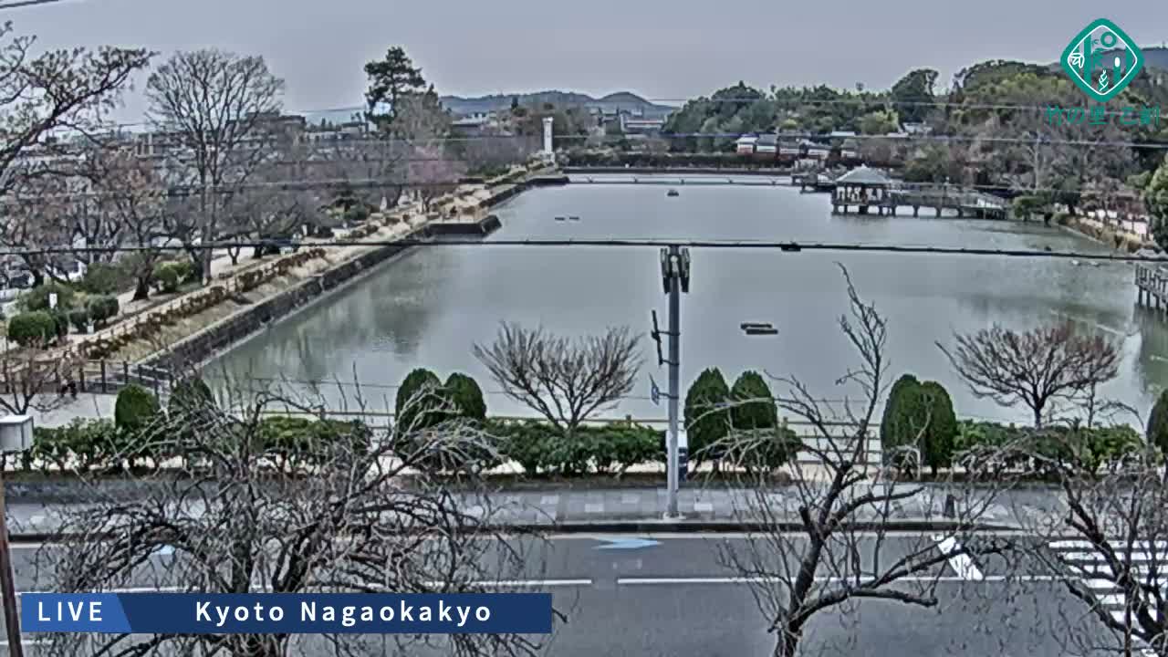 Kyoto, Nagaokakyo Hachijogaike Pond & Nagaoka Tenmangu Shrine Garden ( 京都、長岡京市の八条ヶ池と長岡天満宮庭園 ) Live Cam - 4 Chome, Tenjin, Nagaokakyo, Kyoto, Kyōto, Kansai, Japan