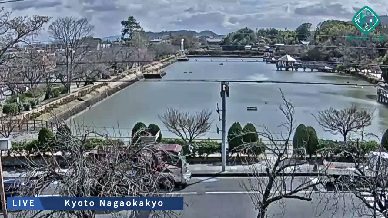 Kyoto, Nagaokakyo Hachijogaike Pond & Nagaoka Tenmangu Shrine Garden ( 京都、長岡京市の八条ヶ池と長岡天満宮庭園 ) Live Cam - 4 Chome, Tenjin, Nagaokakyo, Kyoto, Kyōto, Kansai, Japan