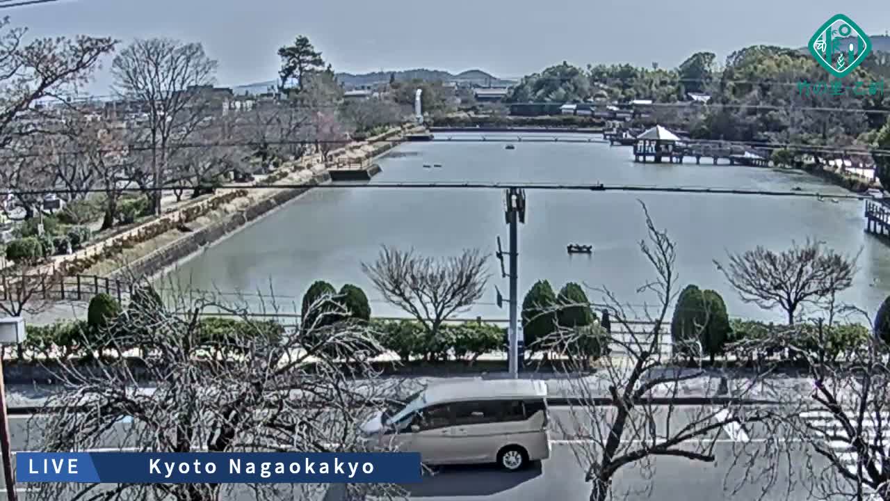 Kyoto, Nagaokakyo Hachijogaike Pond & Nagaoka Tenmangu Shrine Garden ( 京都、長岡京市の八条ヶ池と長岡天満宮庭園 ) Live Cam - 4 Chome, Tenjin, Nagaokakyo, Kyoto, Kyōto, Kansai, Japan