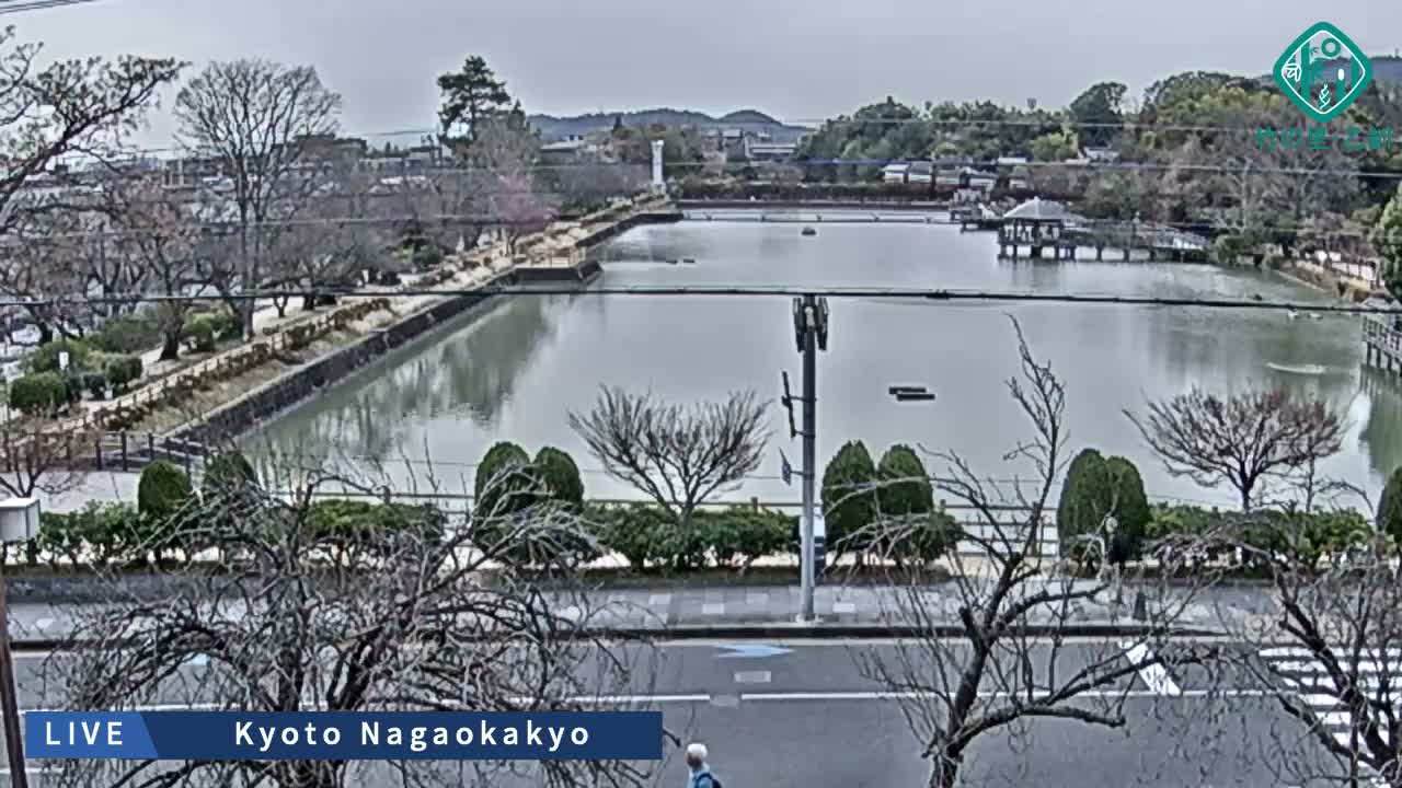 Kyoto, Nagaokakyo Hachijogaike Pond & Nagaoka Tenmangu Shrine Garden ( 京都、長岡京市の八条ヶ池と長岡天満宮庭園 ) Live Cam - 4 Chome, Tenjin, Nagaokakyo, Kyoto, Kyōto, Kansai, Japan
