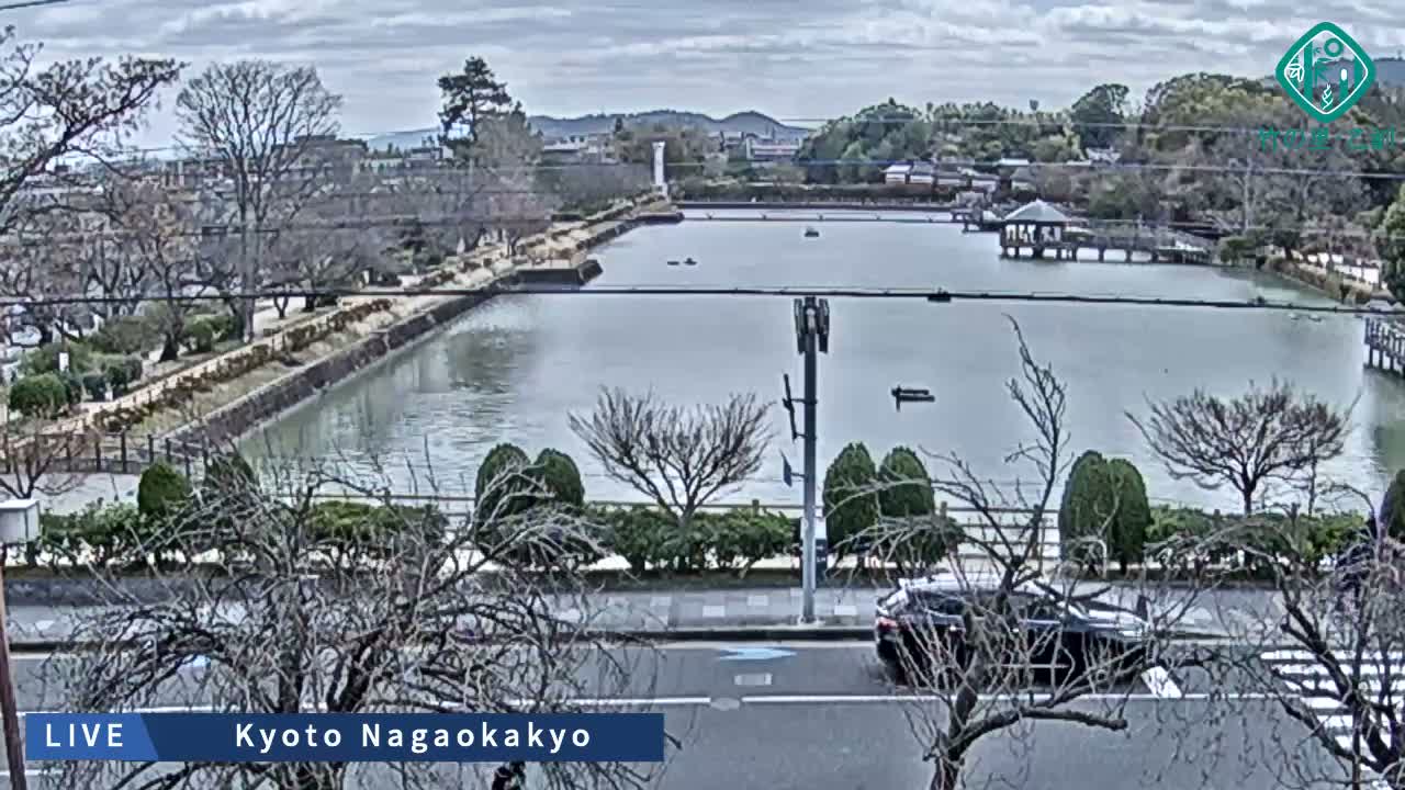 Kyoto, Nagaokakyo Hachijogaike Pond & Nagaoka Tenmangu Shrine Garden ( 京都、長岡京市の八条ヶ池と長岡天満宮庭園 ) Live Cam - 4 Chome, Tenjin, Nagaokakyo, Kyoto, Kyōto, Kansai, Japan