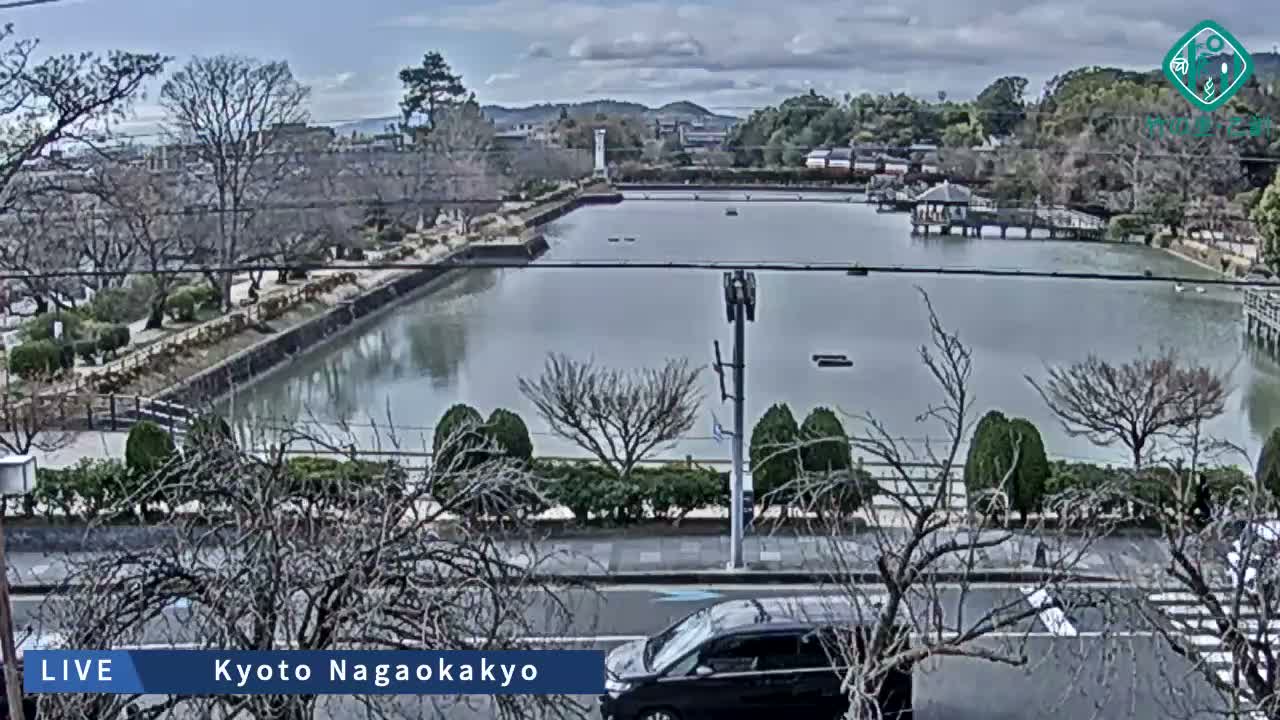 Kyoto, Nagaokakyo Hachijogaike Pond & Nagaoka Tenmangu Shrine Garden ( 京都、長岡京市の八条ヶ池と長岡天満宮庭園 ) Live Cam - 4 Chome, Tenjin, Nagaokakyo, Kyoto, Kyōto, Kansai, Japan