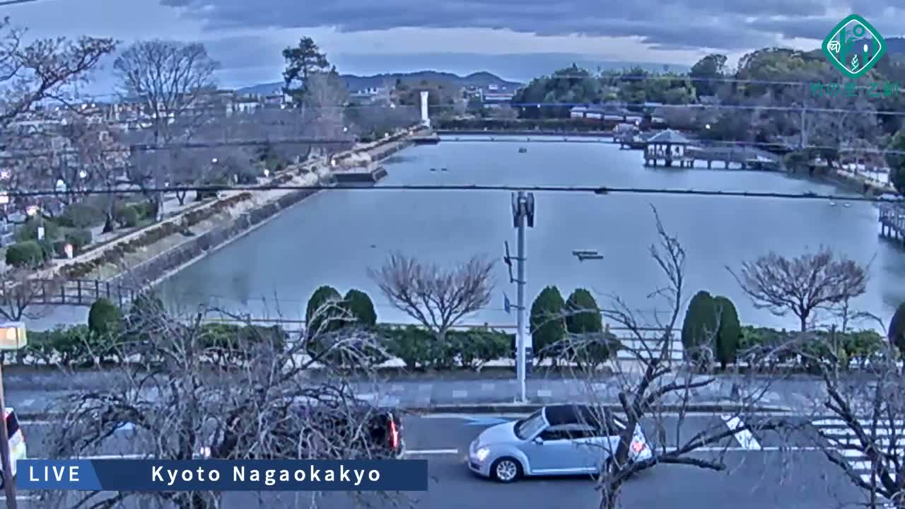 Kyoto, Nagaokakyo Hachijogaike Pond & Nagaoka Tenmangu Shrine Garden ( 京都、長岡京市の八条ヶ池と長岡天満宮庭園 ) Live Cam - 4 Chome, Tenjin, Nagaokakyo, Kyoto, Kyōto, Kansai, Japan
