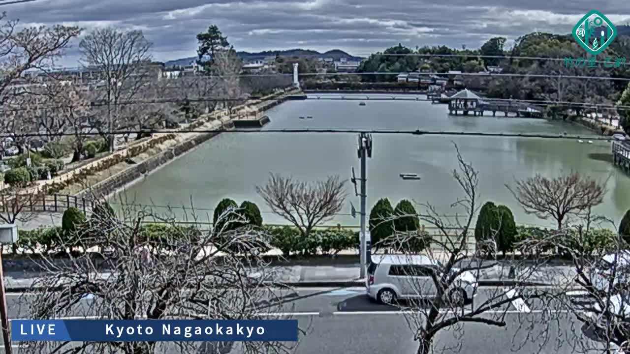 Kyoto, Nagaokakyo Hachijogaike Pond & Nagaoka Tenmangu Shrine Garden ( 京都、長岡京市の八条ヶ池と長岡天満宮庭園 ) Live Cam - 4 Chome, Tenjin, Nagaokakyo, Kyoto, Kyōto, Kansai, Japan