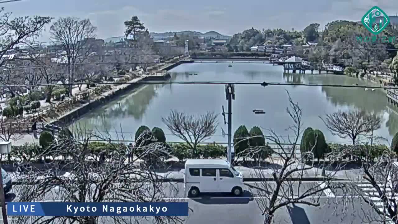 Kyoto, Nagaokakyo Hachijogaike Pond & Nagaoka Tenmangu Shrine Garden ( 京都、長岡京市の八条ヶ池と長岡天満宮庭園 ) Live Cam - 4 Chome, Tenjin, Nagaokakyo, Kyoto, Kyōto, Kansai, Japan
