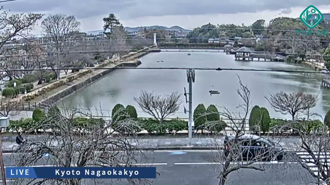 Kyoto, Nagaokakyo Hachijogaike Pond & Nagaoka Tenmangu Shrine Garden ( 京都、長岡京市の八条ヶ池と長岡天満宮庭園 ) Live Cam - 4 Chome, Tenjin, Nagaokakyo, Kyoto, Kyōto, Kansai, Japan
